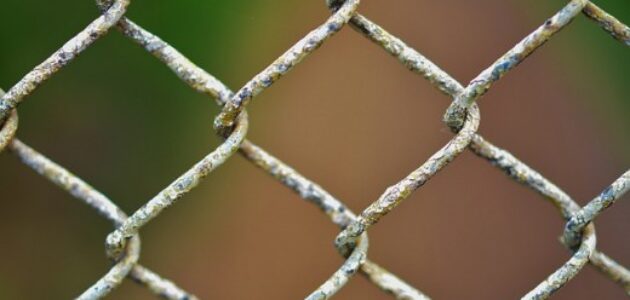 Interne Verlinkungen sind essentiell